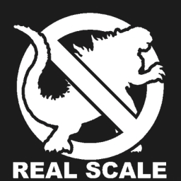 Real Scale Initiative Logo